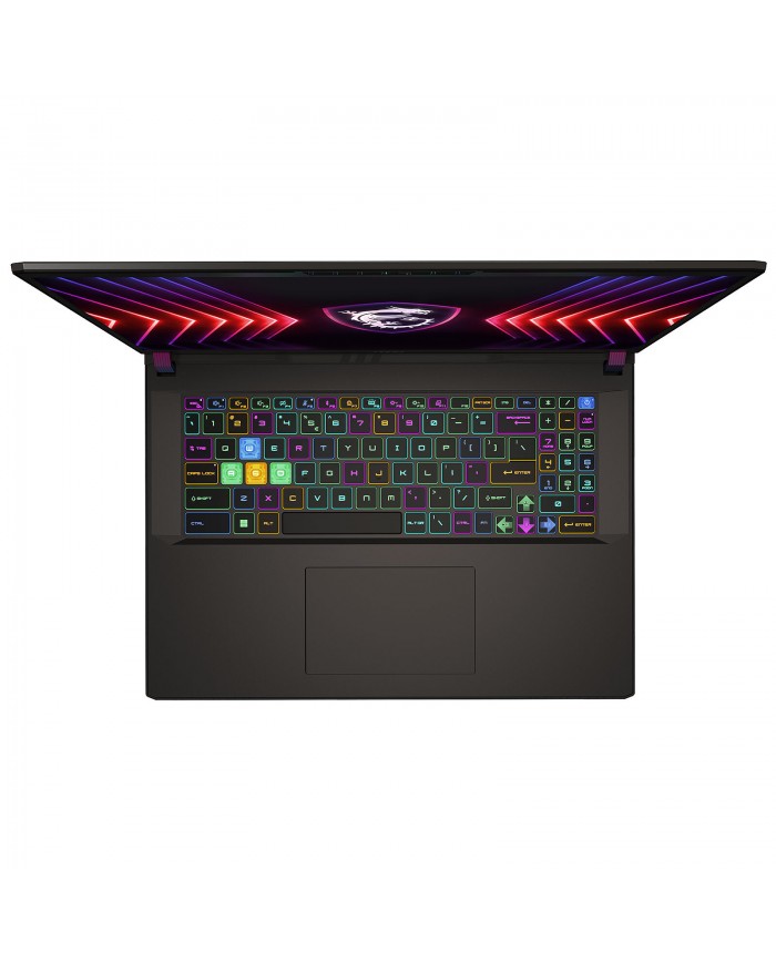 MSI Vector 17 HX A14VIG  i9-14900HX/32GB/1TB / RTX 4090 16 GB/17" / PC PORTABLE MSI Vector 17 HX A14VIG  i9-14900HX/32GB/1TB / RTX 4090 16 GB/17" / PC PORTABLE