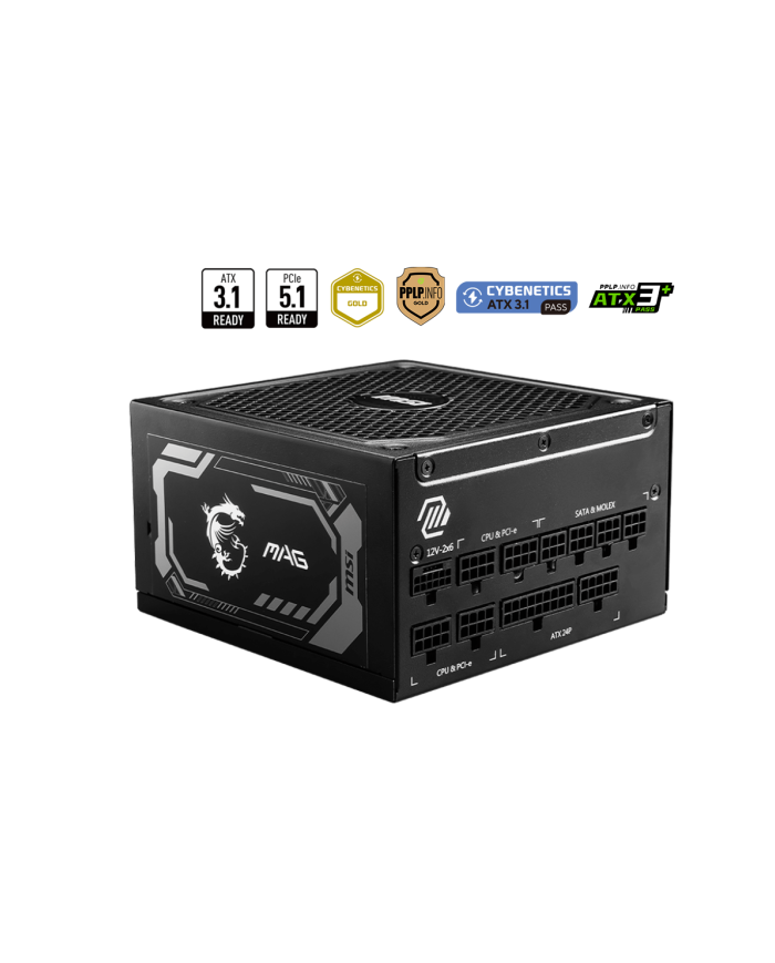 MSI MPG A1000GL PCIE5 - Alimentation PC