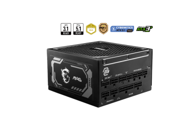 MSI MPG A1000GL PCIE5 - Alimentation PC