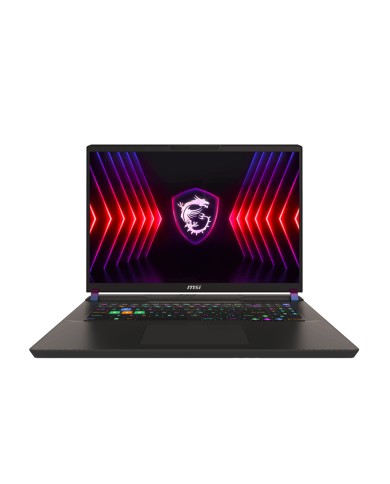 MSI Vector 17 HX A14VHG-617FR - PC portable MSI Vector 17 HX A14VHG-617FR - PC portable