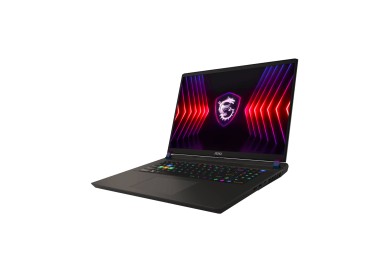 MSI Vector 17 HX A14VHG-617FR - PC portable MSI Vector 17 HX A14VHG-617FR - PC portable