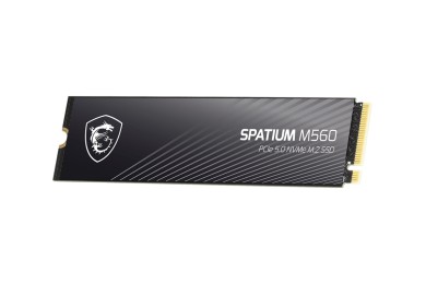 SPATIUM M560 PCIe 5.0 NVMe M.2 2TB | SSD MSI