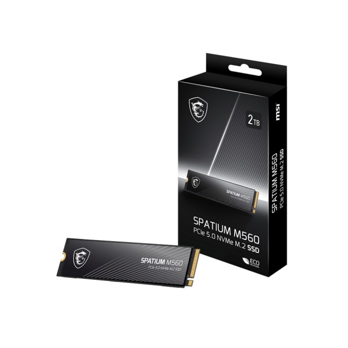 SPATIUM M560 PCIe 5.0 NVMe M.2 2TB | SSD MSI SPATIUM M560 PCIe 5.0 NVMe M.2 2TB | SSD MSI