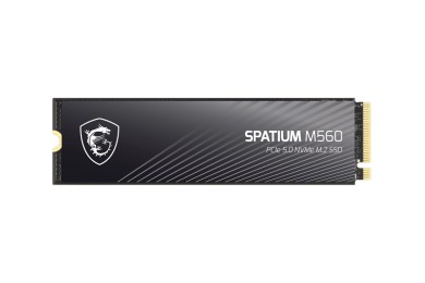 SPATIUM M560 PCIe 5.0 NVMe M.2 2TB | SSD MSI