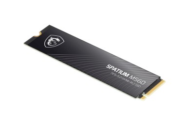 SPATIUM M560 PCIe 5.0 NVMe M.2 2TB | SSD MSI