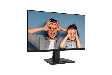 MSI PRO MP251 24,5'" FHD 100HZ - MONITEUR