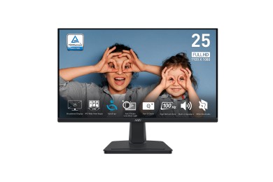 MSI PRO MP251 24,5'" FHD 100HZ - MONITEUR
