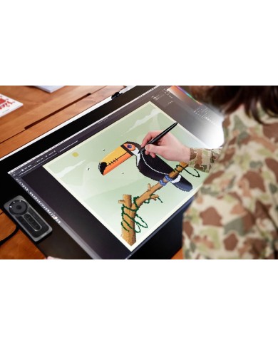 Wacom CINTIQ PRO 24 DTK-2420 4K - Tablette graphique