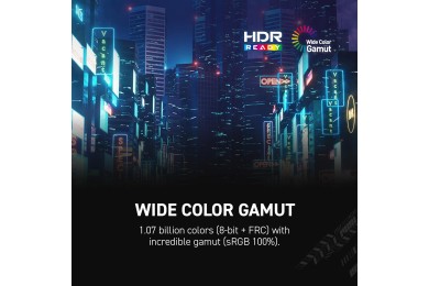 MSI MAG 255F E20 24.5" Fast IPS 200Hz - Ecran Pc