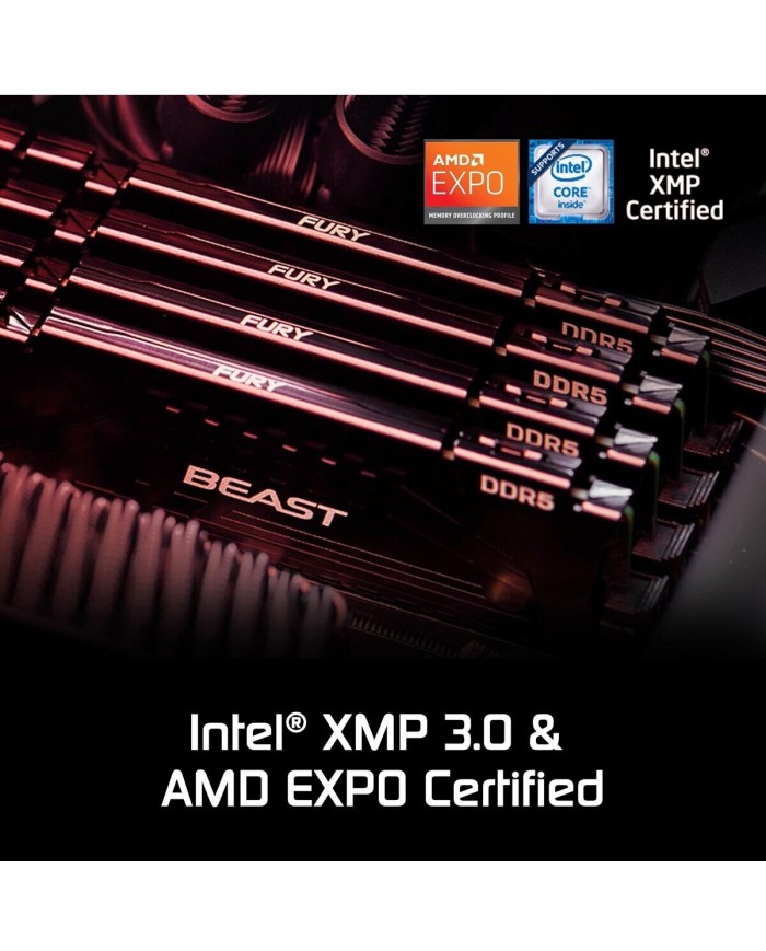 Kingston FURY Beast 32 Go DDR5-6000 CL36 - PC GAMER CASA