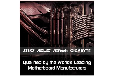 Kingston FURY Beast 32 Go DDR5-6000 CL36 - PC GAMER CASA