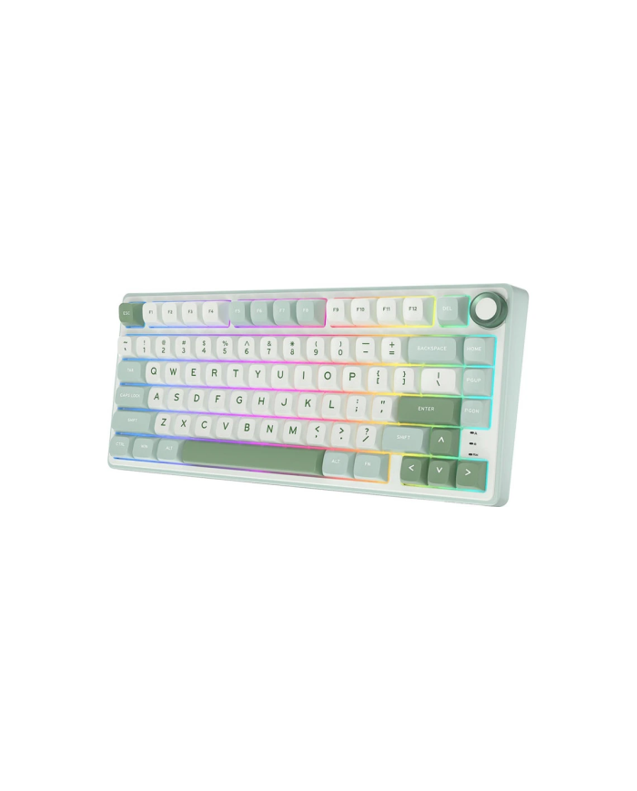 Royal Kludge RKR75 - Clavier Mécanique