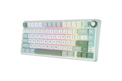 Royal Kludge RKR75 - Clavier Mécanique