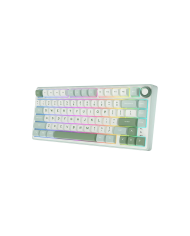 Royal Kludge RKR75 - Clavier Mécanique