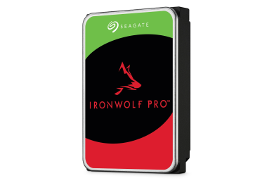 Seagate IronWolf Pro 20 To (ST20000NE000)