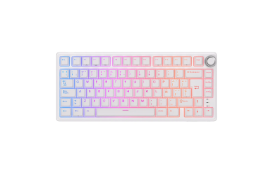 Royal Kludge RKR75 ISO-ES - Clavier Méca Brown Hot-Swap 75% RGB