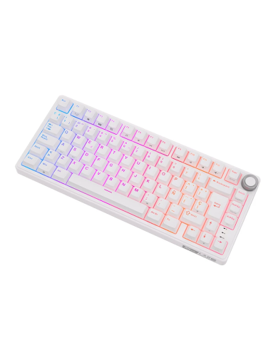 Royal Kludge RKR75 ISO-ES - Clavier Méca Brown Hot-Swap 75% RGB