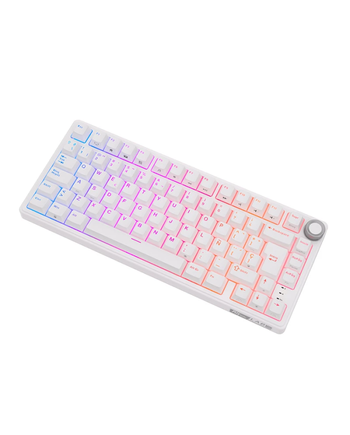 Royal Kludge RKR75 ISO-ES - Clavier Méca Brown Hot-Swap 75% RGB