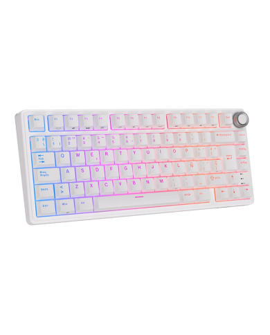 Royal Kludge RKR75 ISO-ES - Clavier Méca Brown Hot-Swap 75% RGB