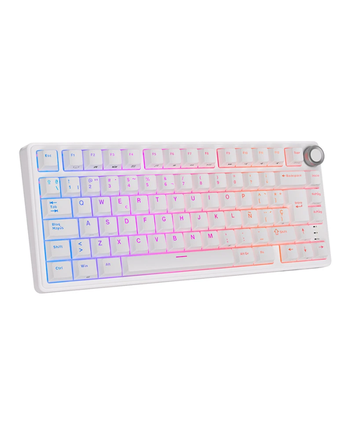 Royal Kludge RKR75 ISO-ES - Clavier Méca Brown Hot-Swap 75% RGB