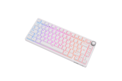 Royal Kludge RKR75 ISO-ES - Clavier Méca Brown Hot-Swap 75% RGB