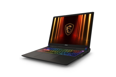 MSI Vector 16 HX AI - Ultra 9 275HX - RTX 5070 Ti - 16Go - 1To SSD - 16" 240Hz - Pc Gamer Casa