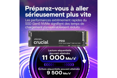 Crucial P510 1 To 2280 M.2 NVME (CT1000P510SSD8)  - Disque SSD