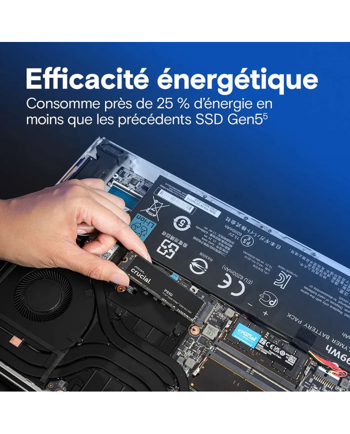 Crucial P510 1 To 2280 M.2 NVME (CT1000P510SSD8)  - Disque SSD