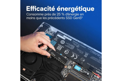 Crucial P510 1 To 2280 M.2 NVME (CT1000P510SSD8)  - Disque SSD
