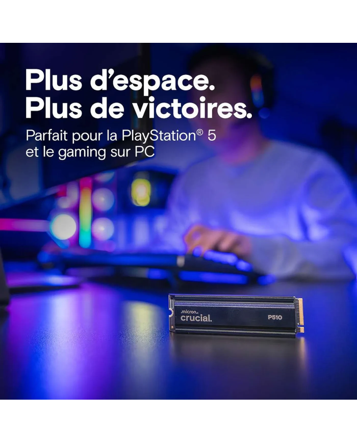 Crucial P510 - 2 To NVMe Gen5 - 10000 Mo/s - Heatsink - PC GAMER CASA