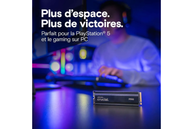 Crucial P510 - 2 To NVMe Gen5 - 10000 Mo/s - Heatsink - PC GAMER CASA