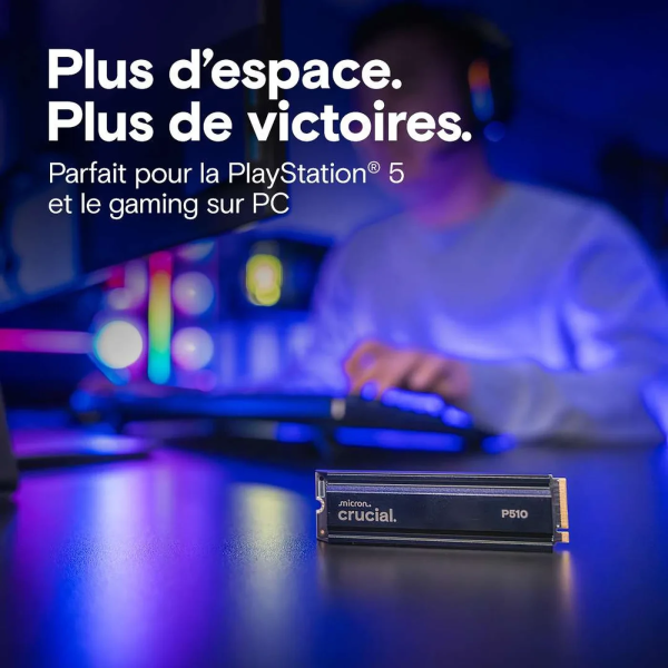 Crucial P510 - 2 To NVMe Gen5 - 10000 Mo/s - Heatsink - PC GAMER CASA