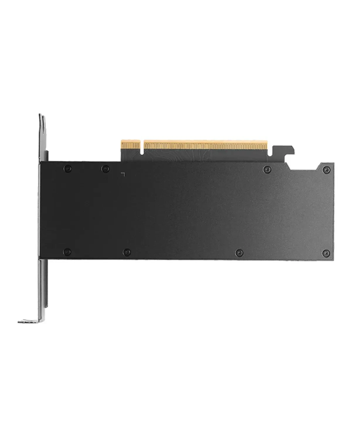 PNY RTX PRO 2000 Blackwell - 16 Go GDDR7 - Architecture NVIDIA - CARTE GRAPHIQUE
