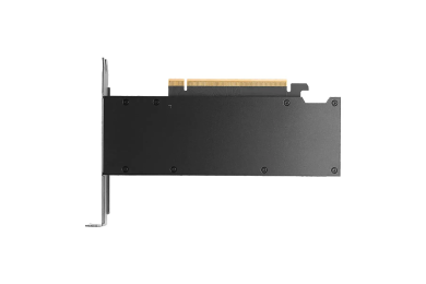 PNY RTX PRO 2000 Blackwell - 16 Go GDDR7 - Architecture NVIDIA - CARTE GRAPHIQUE