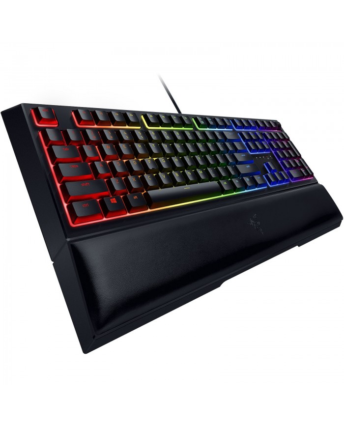 Razer Ornata v2 Razer Ornata v2