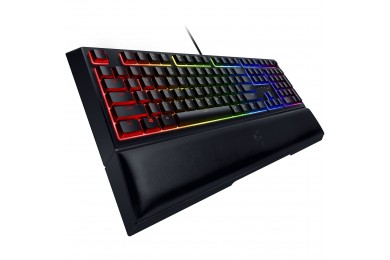 Razer Ornata v2 Razer Ornata v2