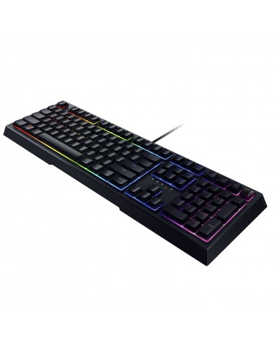 Razer Ornata v2 Razer Ornata v2
