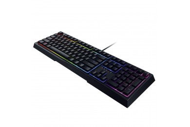 Razer Ornata v2 Razer Ornata v2