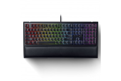 Razer Ornata v2 Razer Ornata v2
