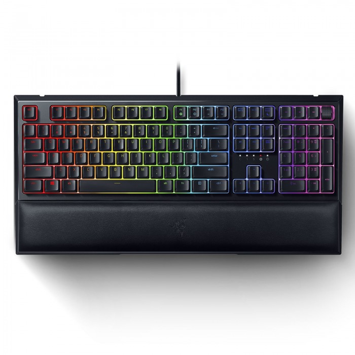 Razer Ornata v2 Razer Ornata v2