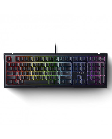 Razer Ornata v2 Razer Ornata v2