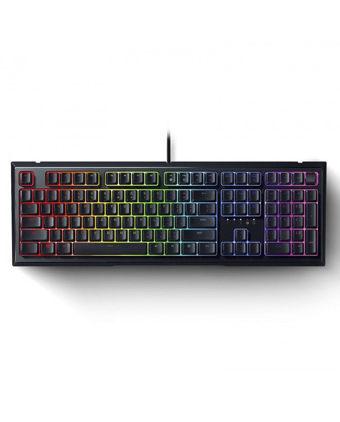 Razer Ornata v2 Razer Ornata v2