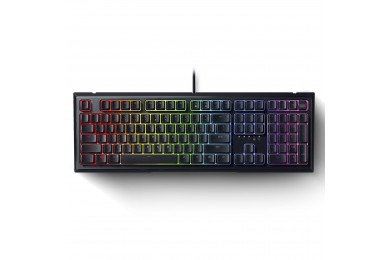 Razer Ornata v2 Razer Ornata v2