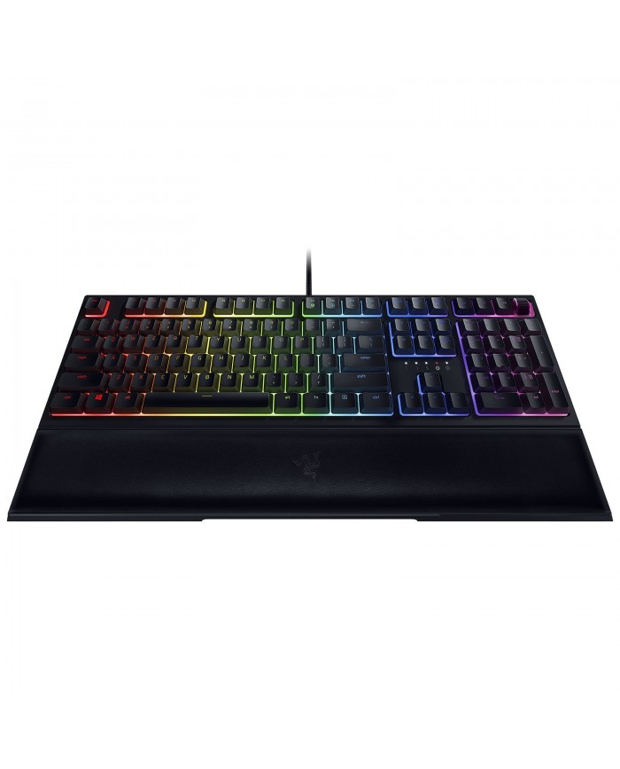 Razer Ornata v2 Razer Ornata v2
