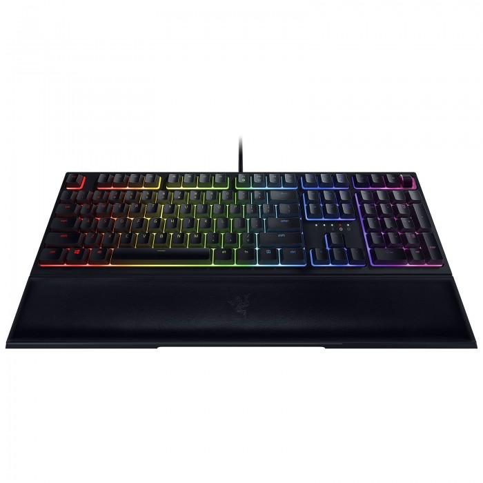 Razer Ornata v2 Razer Ornata v2