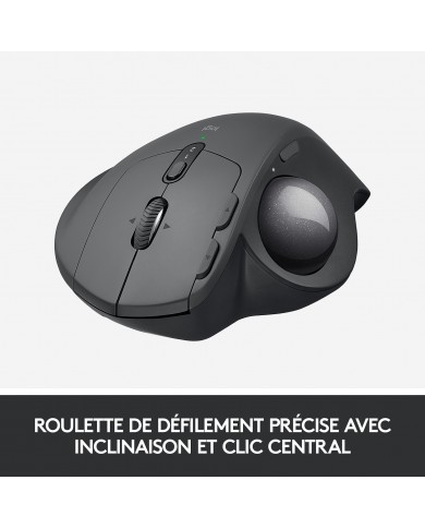 Logitech MX Ergo