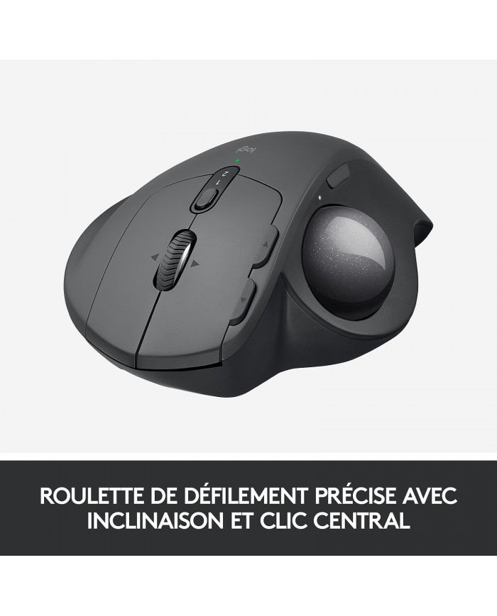 Logitech MX Ergo