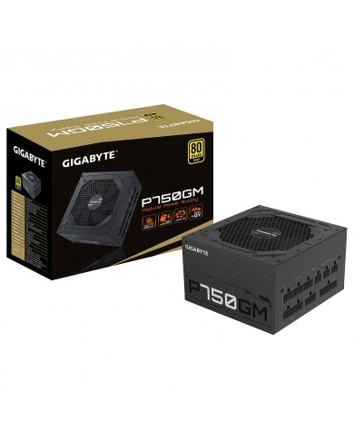 Gigabyte GP-P750GM Modulaire 80+ Gold Gigabyte GP-P750GM Modulaire 80+ Gold