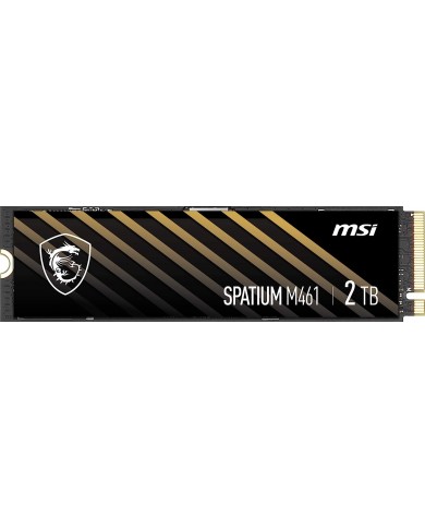 MSI SPATIUM M461 2TB  PCIe 4.0 NVMe M.2 - Pc Gamer Casa