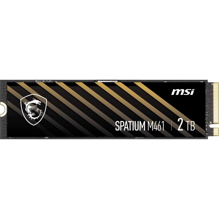 MSI SPATIUM M461 2TB  PCIe 4.0 NVMe M.2 - Pc Gamer Casa